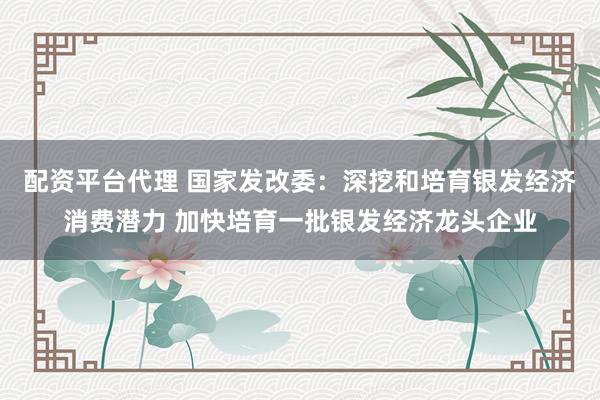 配资平台代理 国家发改委：深挖和培育银发经济消费潜力 加快培育一批银发经济龙头企业