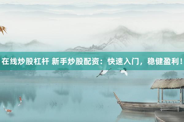 在线炒股杠杆 新手炒股配资：快速入门，稳健盈利！
