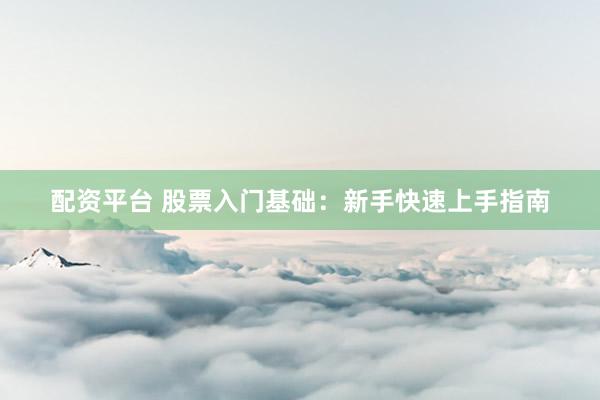 配资平台 股票入门基础：新手快速上手指南