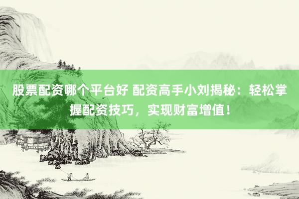 股票配资哪个平台好 配资高手小刘揭秘：轻松掌握配资技巧，实现财富增值！