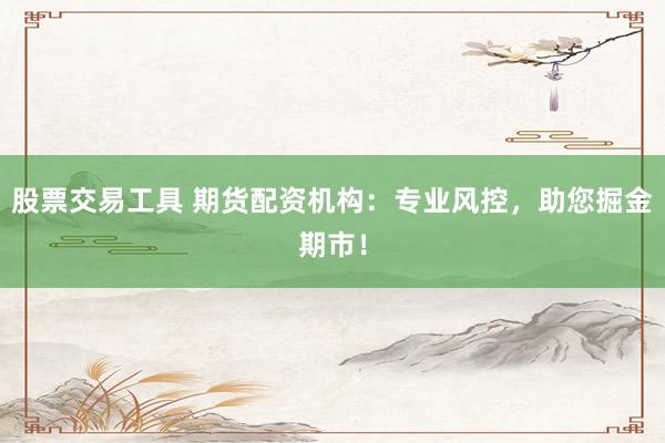 股票交易工具 期货配资机构：专业风控，助您掘金期市！