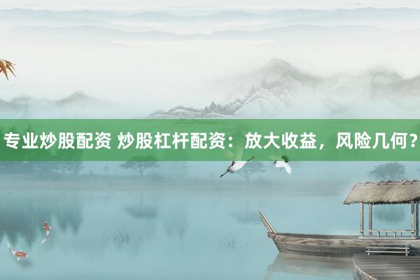 专业炒股配资 炒股杠杆配资：放大收益，风险几何？
